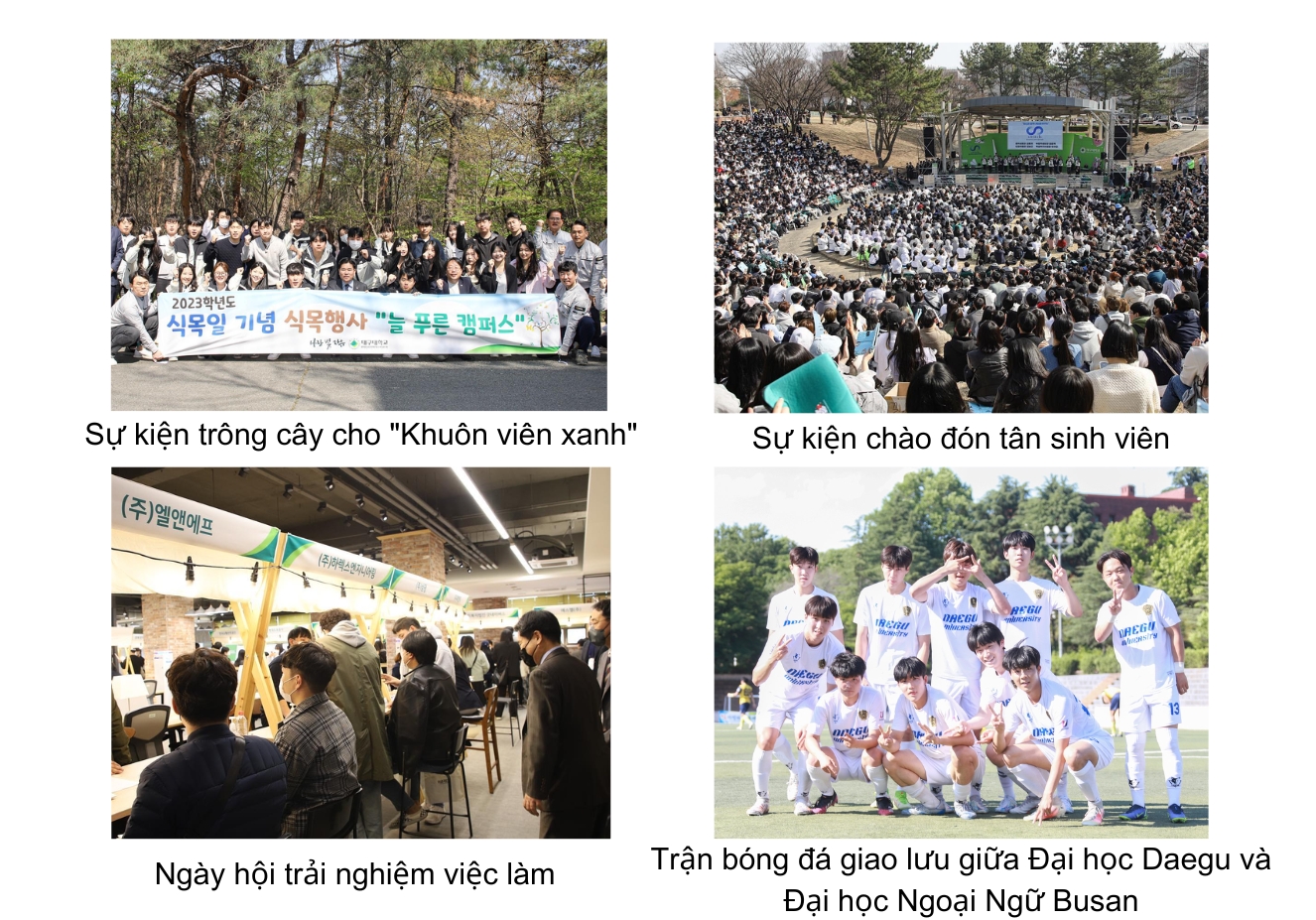 Một số hoạt động ngoại khóa của trường Đại học Daegu