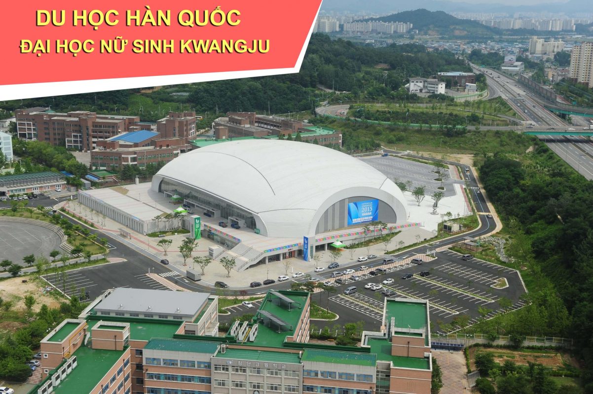 Các cơ sở của trường
