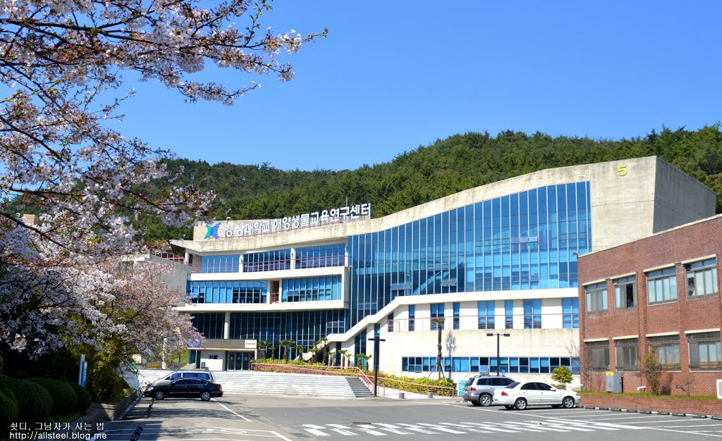 Đại Học Quốc gia Gyeongsang Hàn Quốc