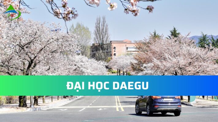 ĐẠI HỌC DAEGU
