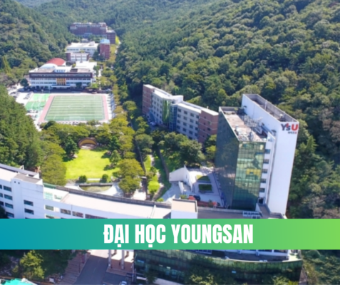 ĐẠI HỌC YOUNGSAN